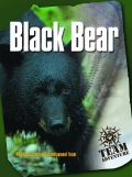 Black Bear team building game