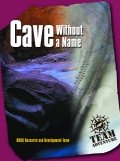 Cave without a name teamwork game
