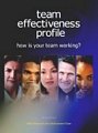 Team Effectiveness Profile Team Effectiveness Profile